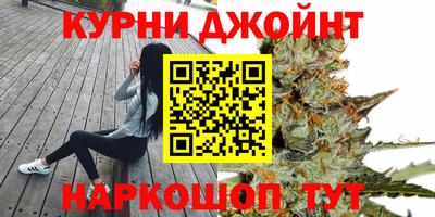 стафф Можга